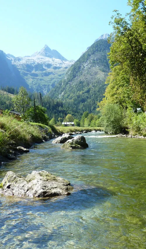 Fliegenfischen an Saalach, Loferbach und Moosbach